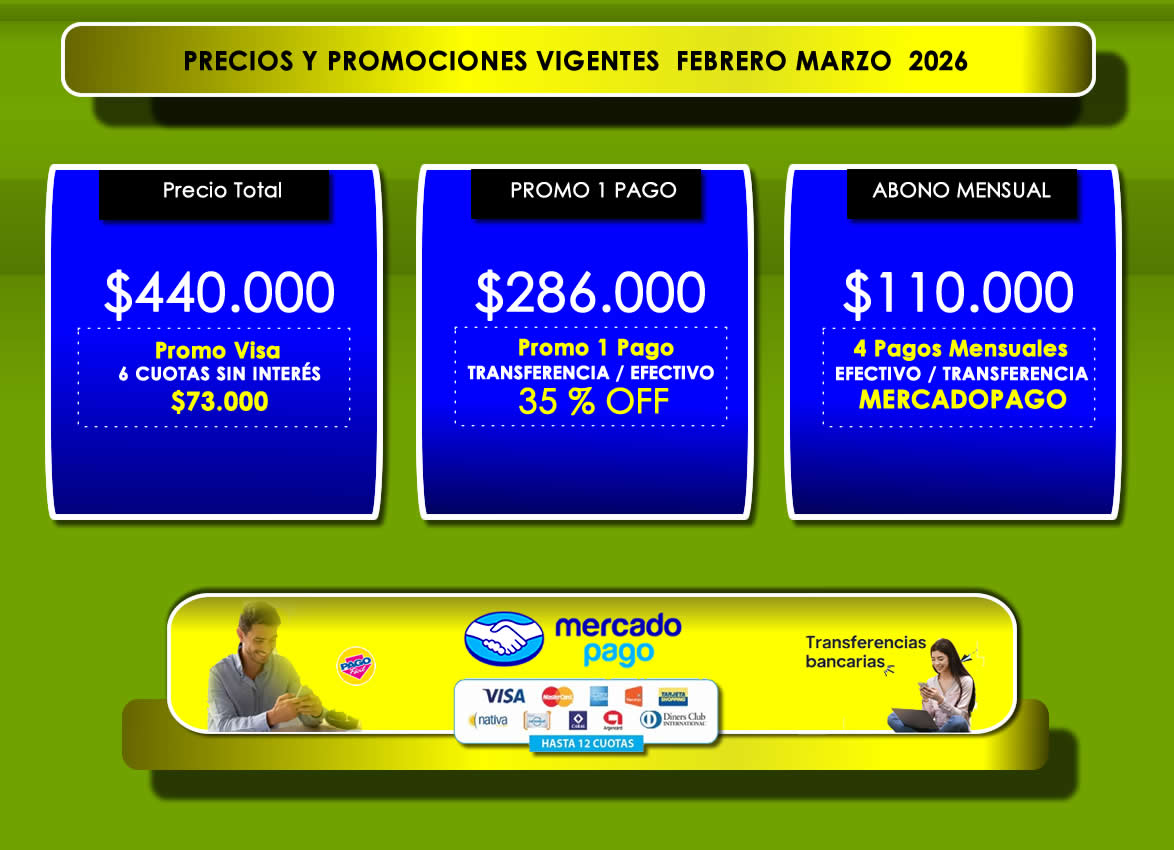 precios  curso diseñador web