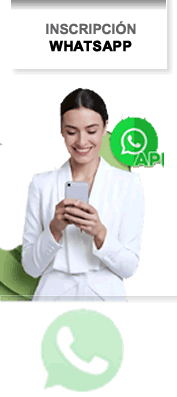 curso diseñador web contacto via whatsapp